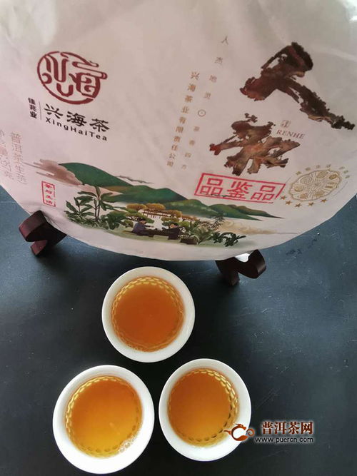 一款值得收藏好茶 2020年兴海茶业人和五星生茶