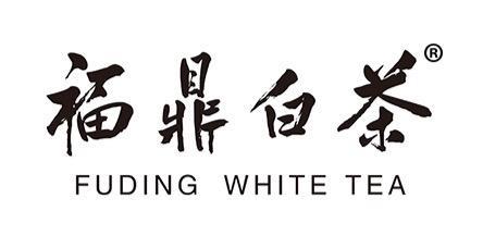 公益组织携手国谦茶业与福鼎众多知名茶企闪耀郑州茶博会